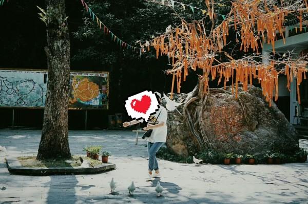 脑洞小老弟无实名认证
