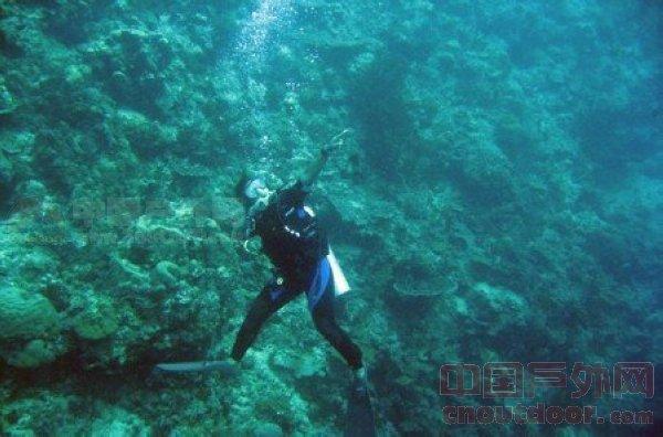 白沟新城公安分局一辅警因公殉职年仅39岁,肇事司机需承担什么法律责任?-高效的有问必答平台